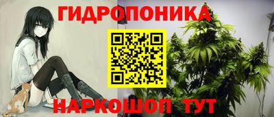 ПСИЛОЦИБИНОВЫЕ ГРИБЫ Камышлов