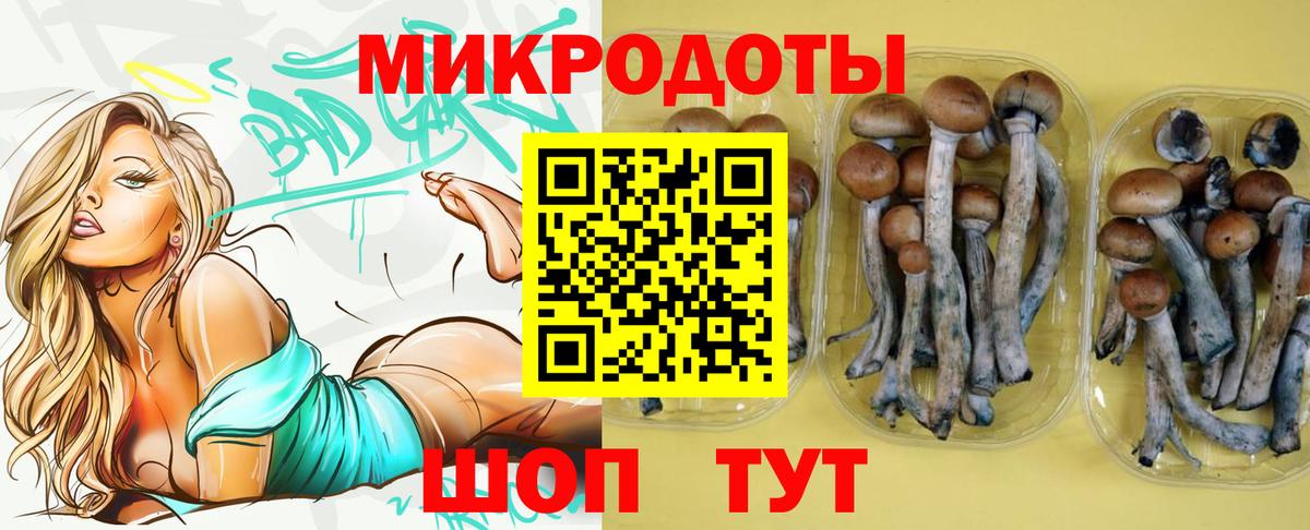 Псилоцибиновые грибы прущие грибы  Галлюциногенные грибы Magic Shrooms  Пермь  Вход с VPN 